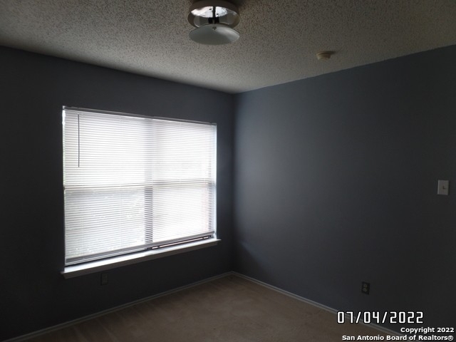 4914 Senisa Springs - Photo 3