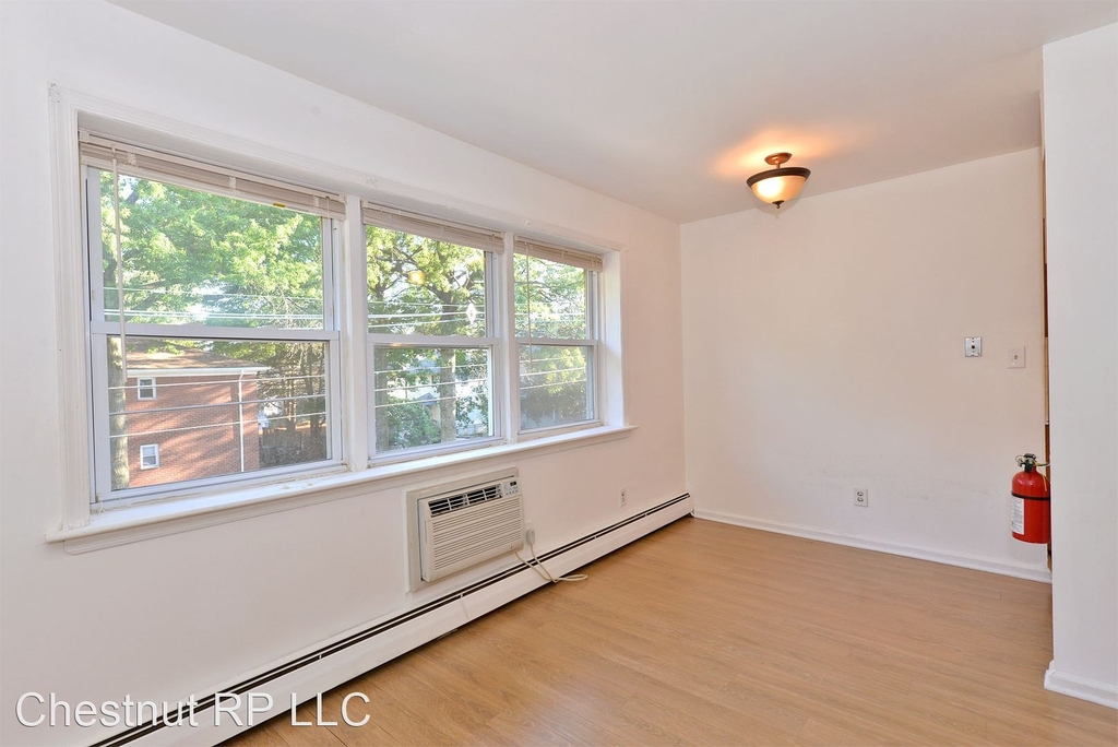 428 Chestnut Street - Photo 3