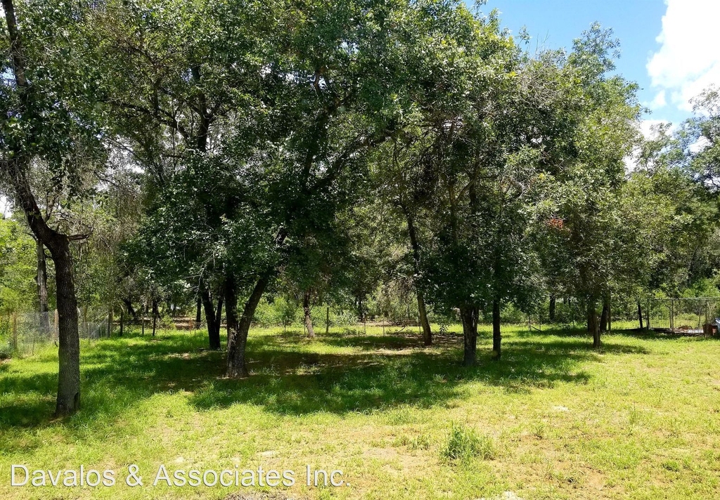 23322 Dragon Rock Rd - Photo 6