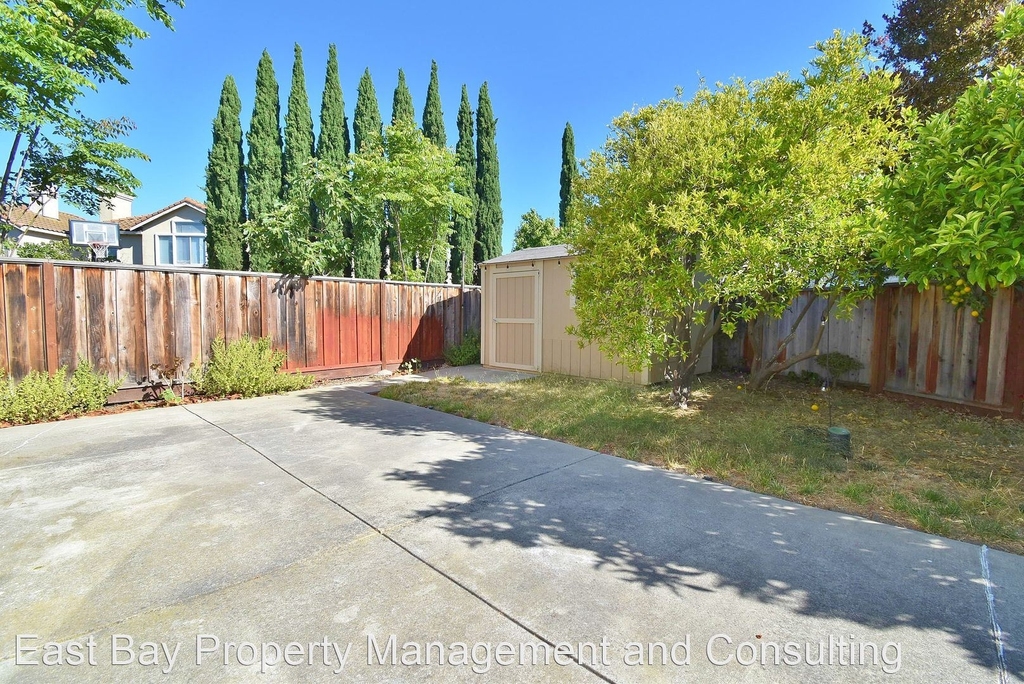 36935 Papaya St. - Photo 22