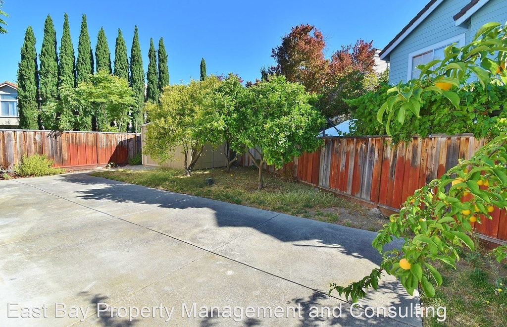 36935 Papaya St. - Photo 25