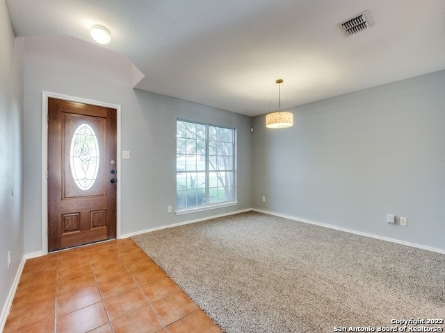 126 Coopers Hawk - Photo 1