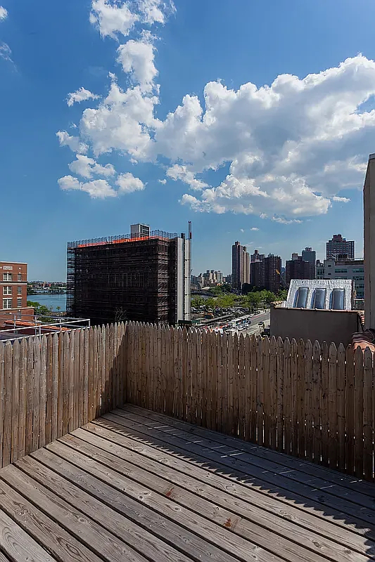 338 East 100th Street - Photo 8