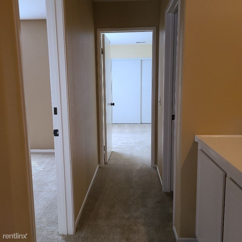 1217 Aruba Cove - Photo 17