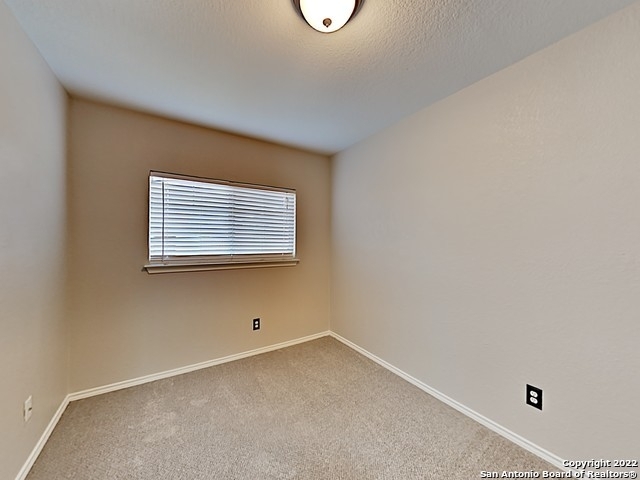 7902 Brazoria Park - Photo 5