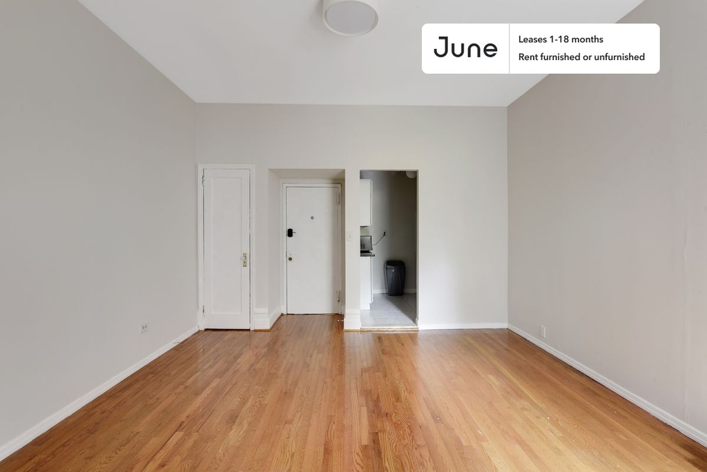 241 West 100th Street - Photo 4