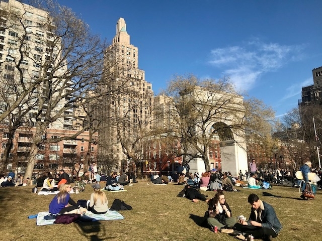 Washington Square/NYU - Photo 6