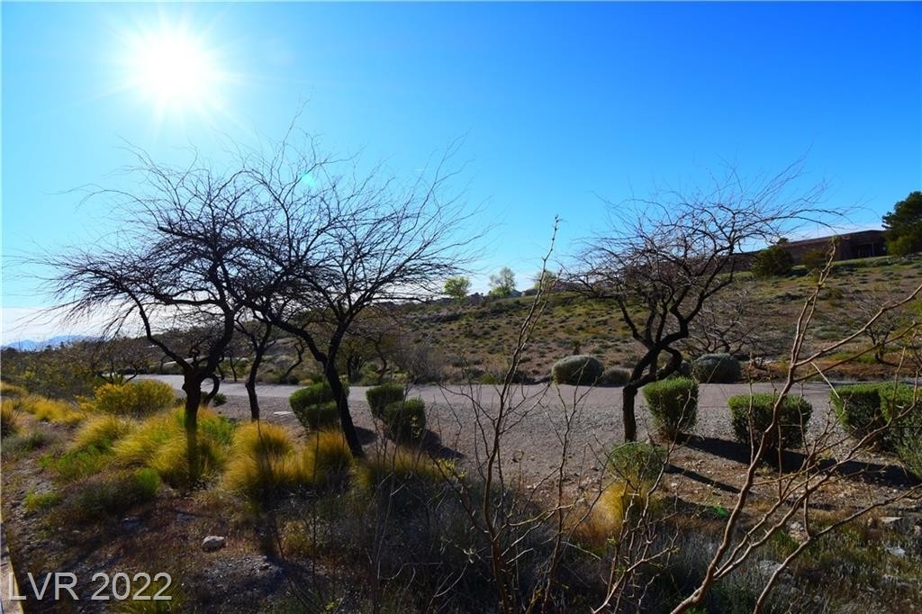 1901 Villa Palms Court - Photo 4