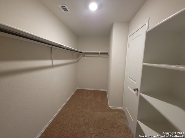 4215 Gossan Springs - Photo 11