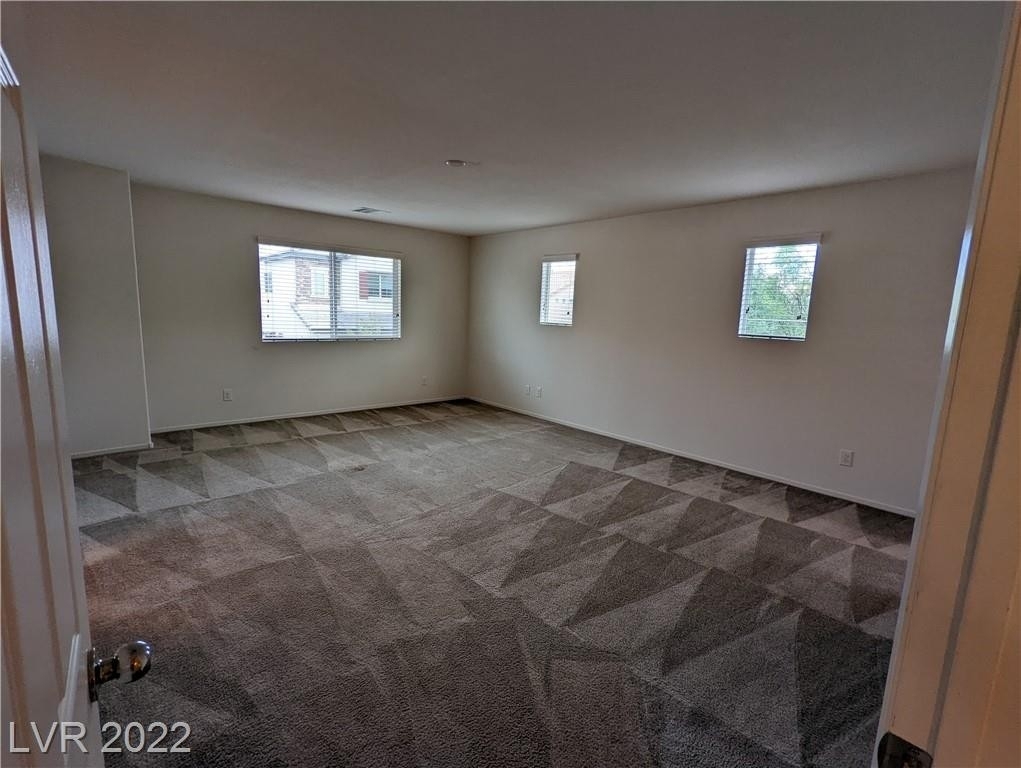 10453 Asana Street - Photo 25