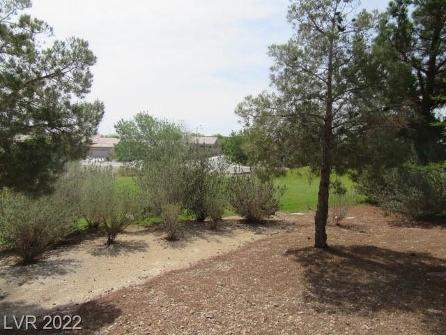 7576 Lily Trotter Street - Photo 14