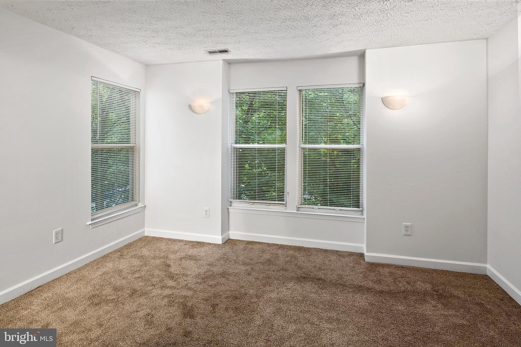 11460 Little Patuxent Parkway - Photo 10