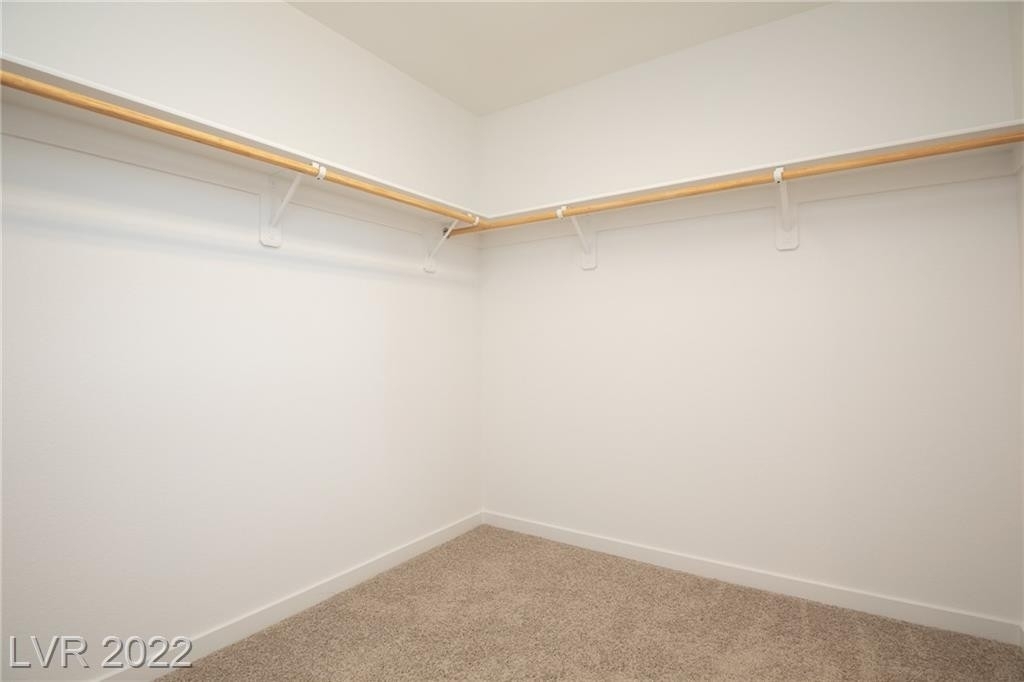 7088 Onyx Mound Street - Photo 21