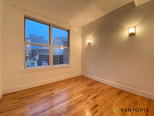 24 Havemeyer Street - Photo 5