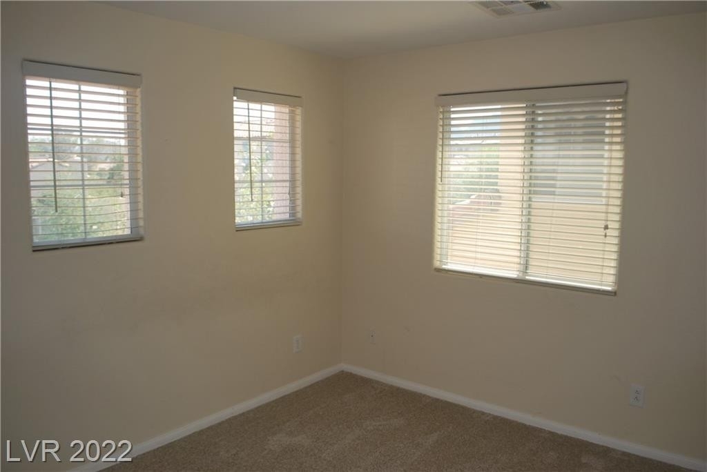 8954 Rudica Creek Avenue - Photo 14