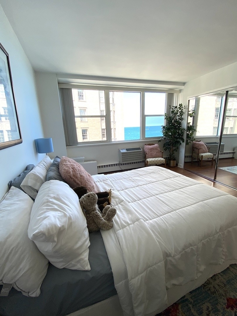 1150 N Lake Shore Drive - Photo 4