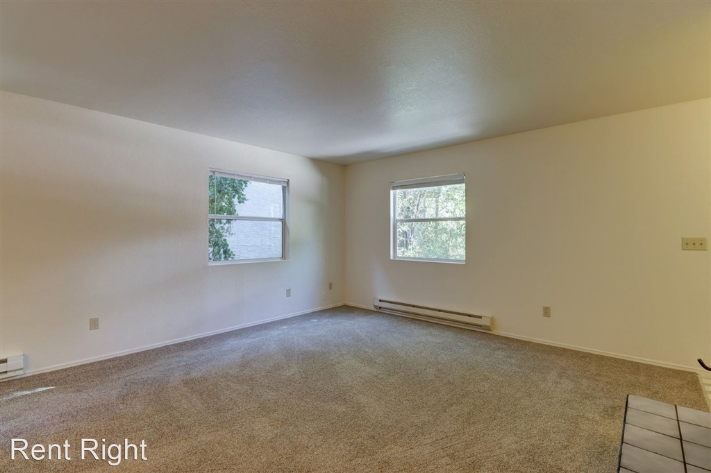 325 S Virginia Street - Photo 6