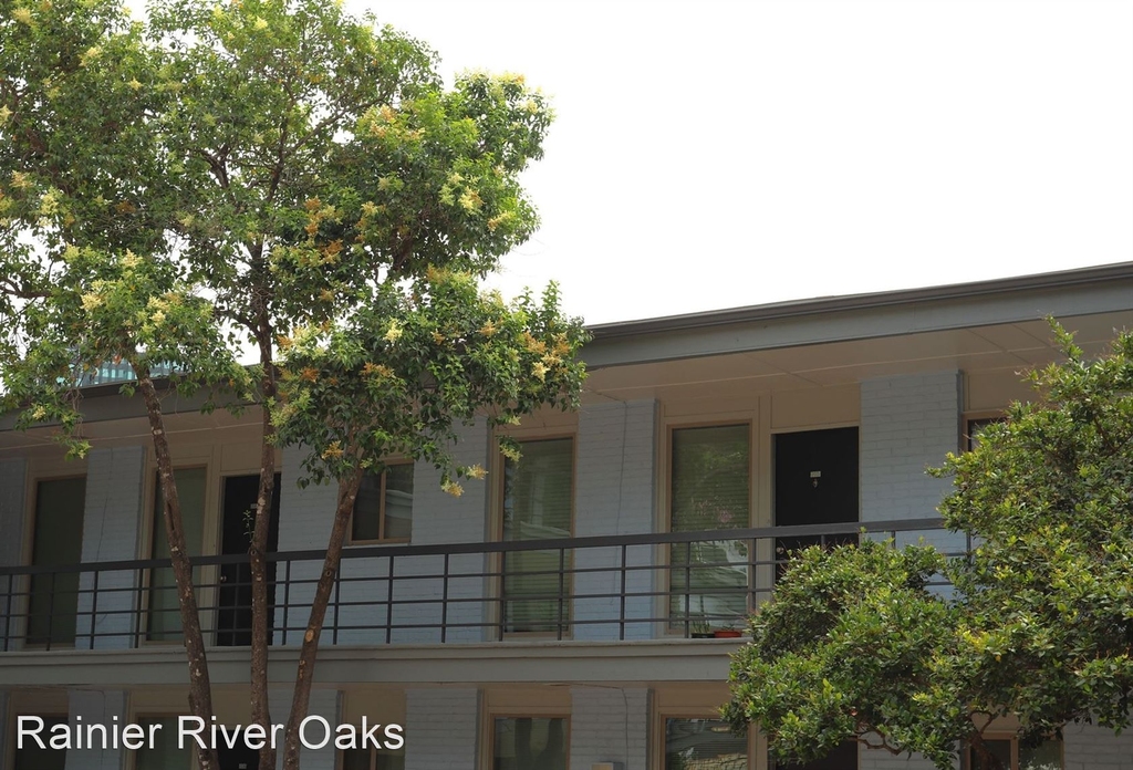 1801 Rio Grande - Photo 14