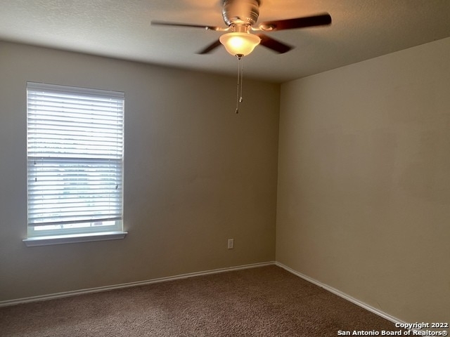 11703 Caraway Hill - Photo 12