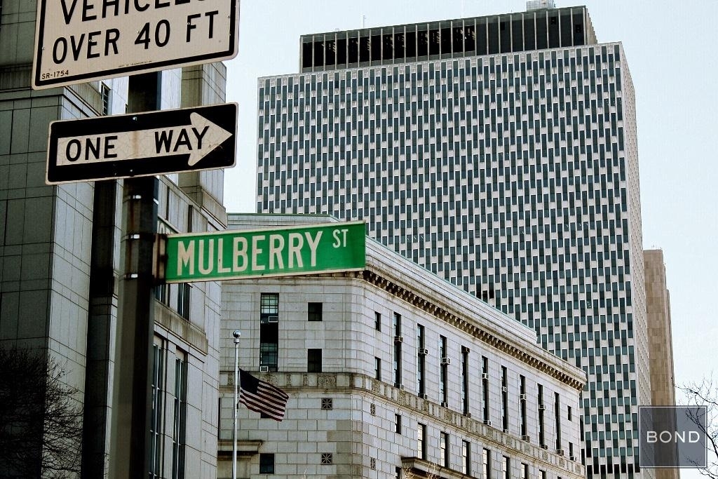 24 Mulberry Street - Photo 6