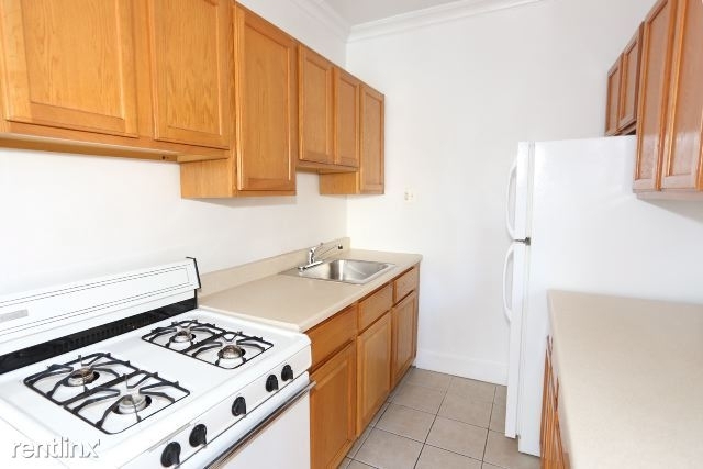 1164 N. Dearborn, Unit 205 - Photo 3