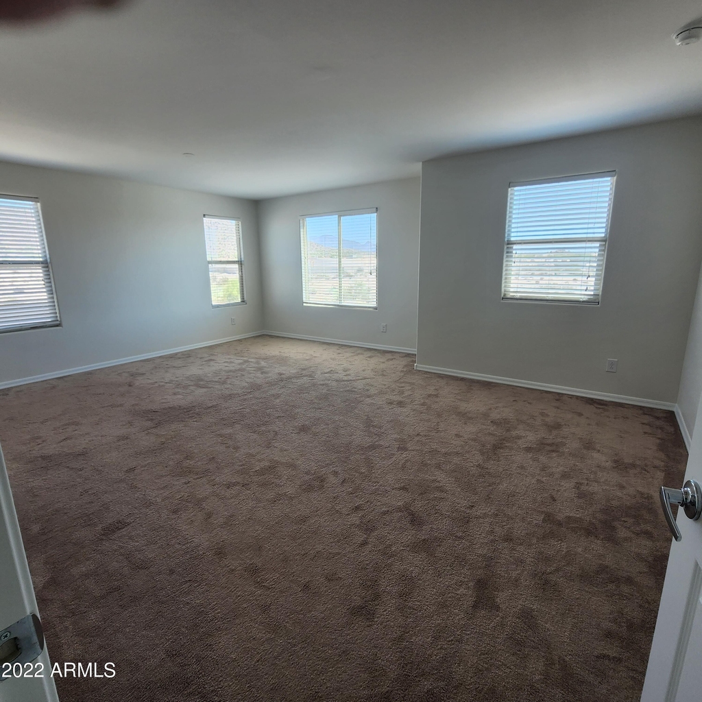 10872 S 175th Drive - Photo 10