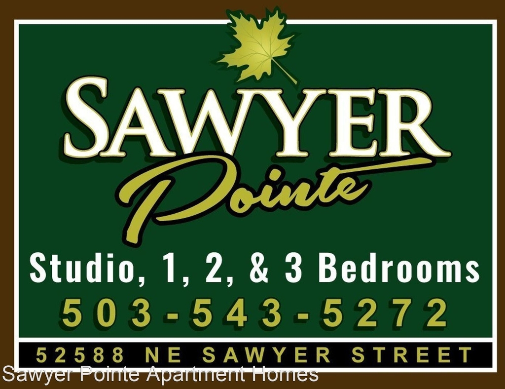 Sawyer Pointe 52588 Ne Sawyer - Photo 18