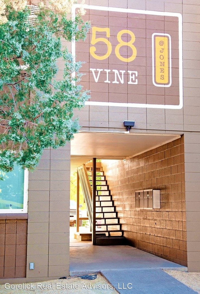 58 Vine Street - Photo 8