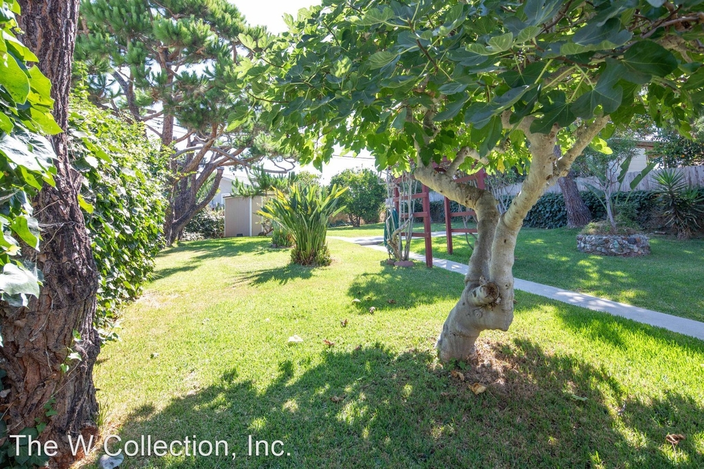 1318 Avenida De La Estrella - Photo 29