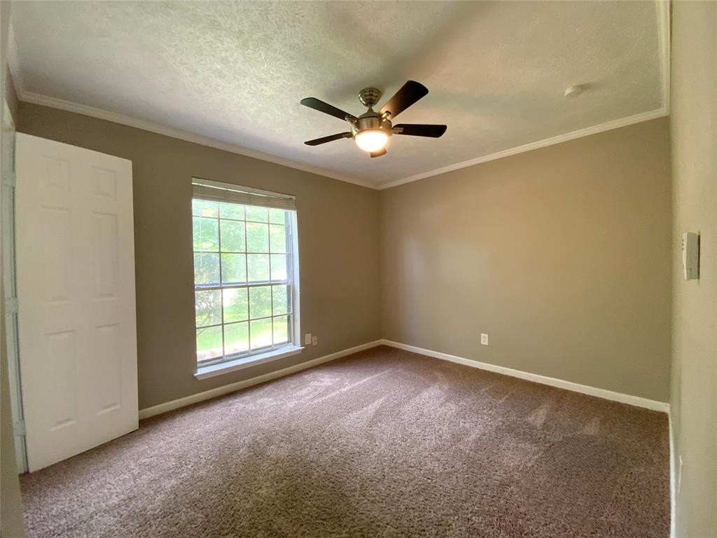 3102 Burning Tree Lane - Photo 11