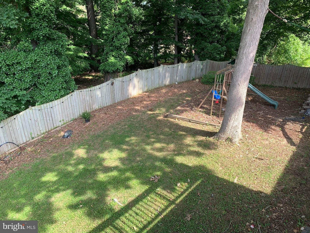 12807 Pine Tree Lane Lane - Photo 24