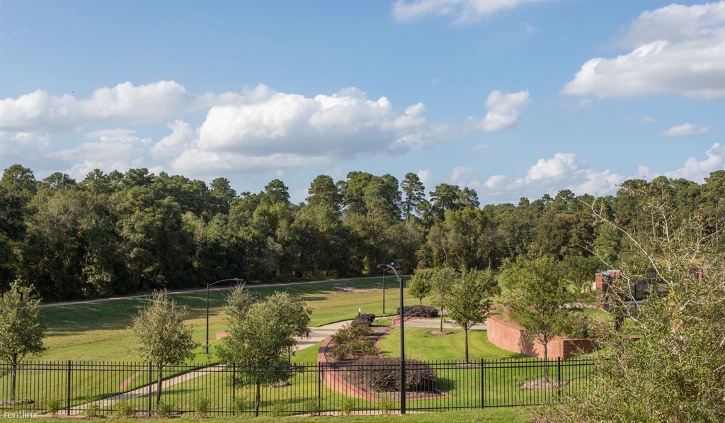 25120 Panther Bend Ct The Woodlands - Photo 3
