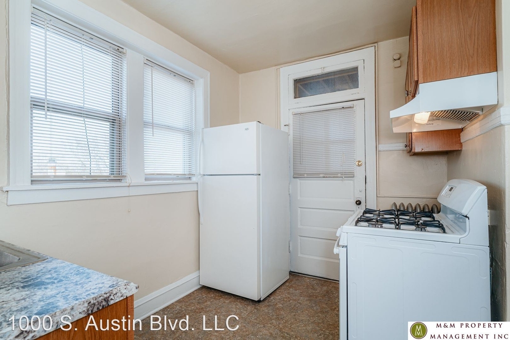 1000-1006 S. Austin Blvd. - Photo 6