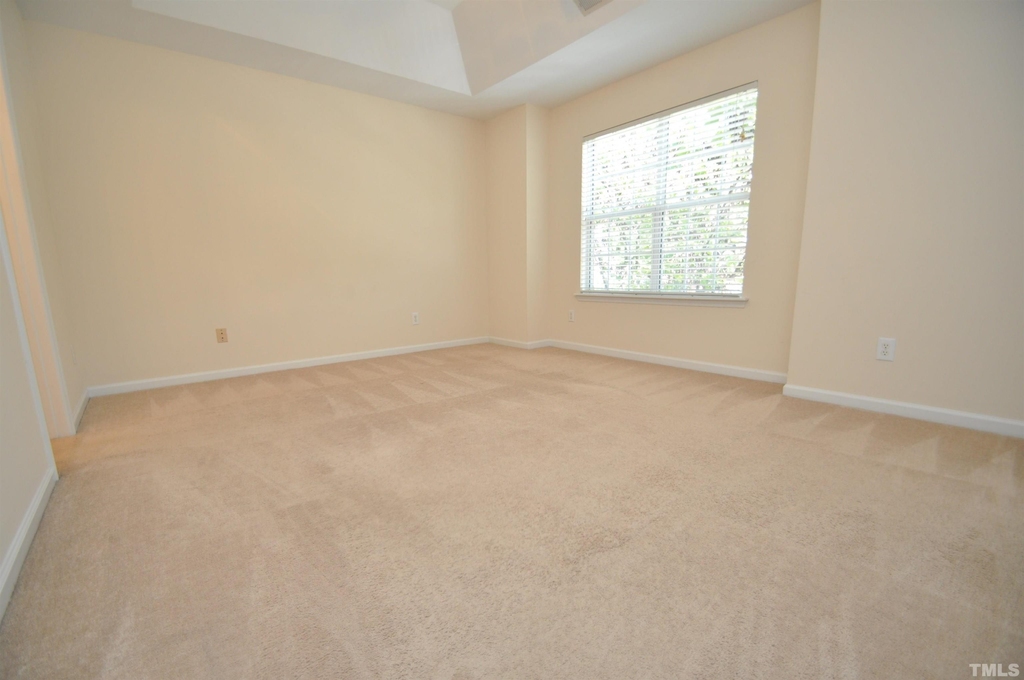 4403 Still Pines Drive - Photo 19