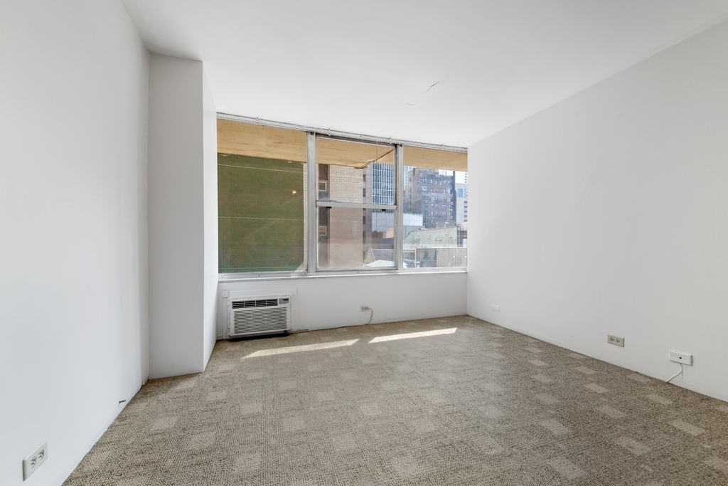 1000 N Lake Shore Drive - Photo 2