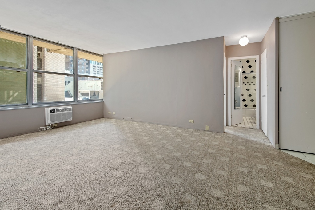 1000 N Lake Shore Drive - Photo 9