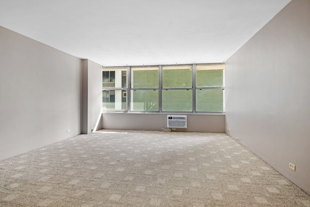 1000 N Lake Shore Drive - Photo 8