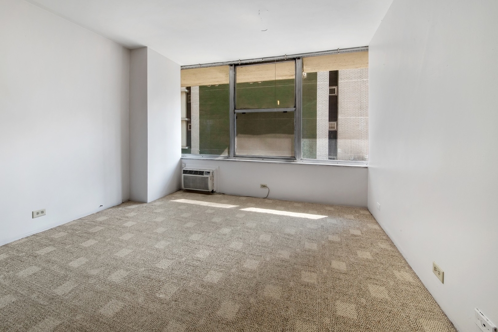 1000 N Lake Shore Drive - Photo 4