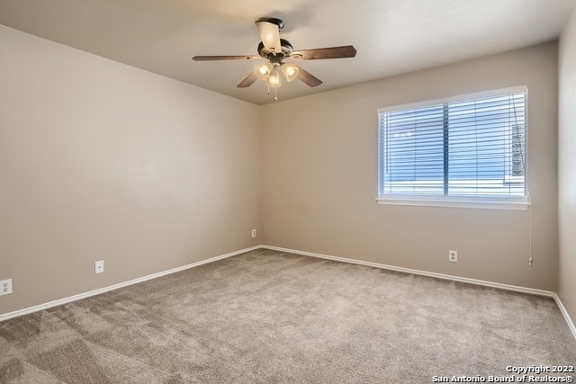 8830 Feather Trail - Photo 15
