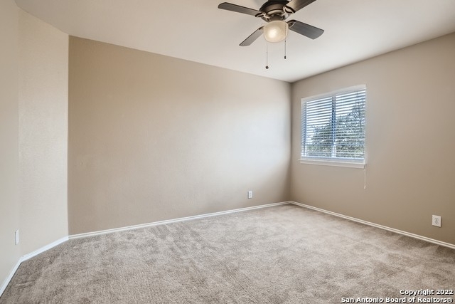8830 Feather Trail - Photo 14
