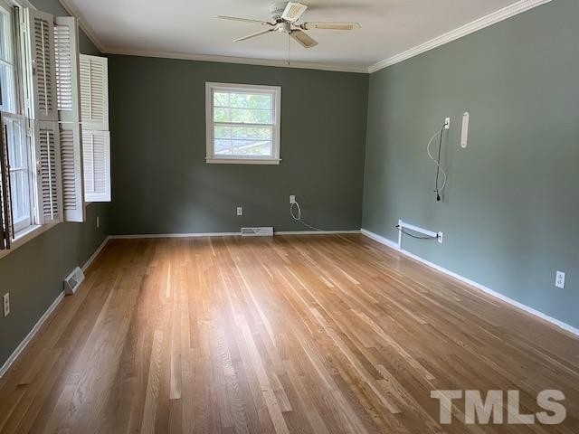 4812 Radcliff Road - Photo 9