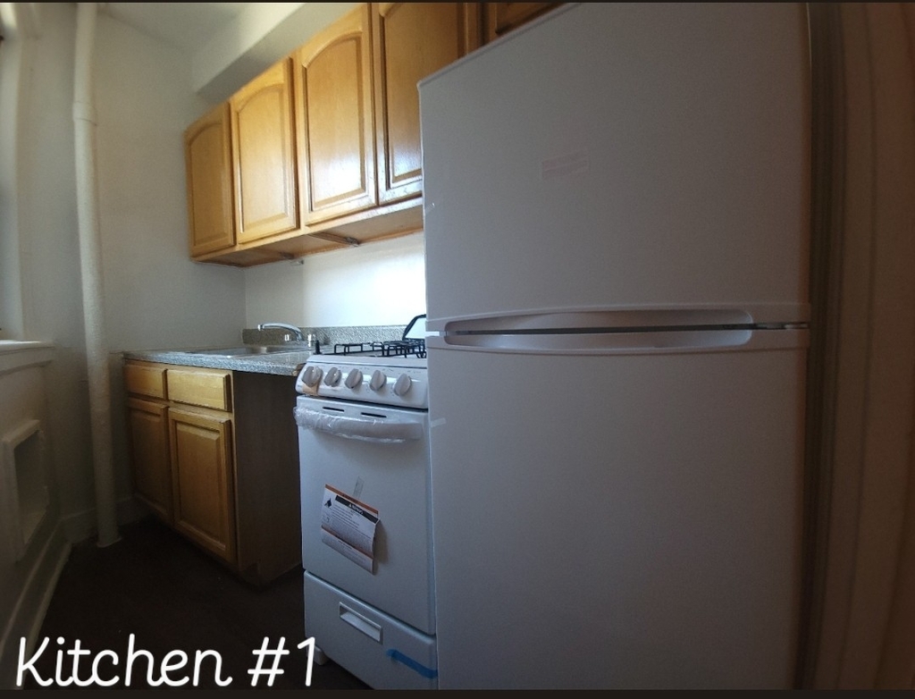 455 West 34th Street - Photo 2