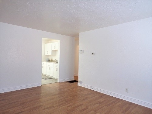 1129 Dallas Street - Photo 4