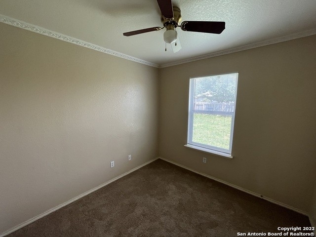 8107 Heights Valley - Photo 21