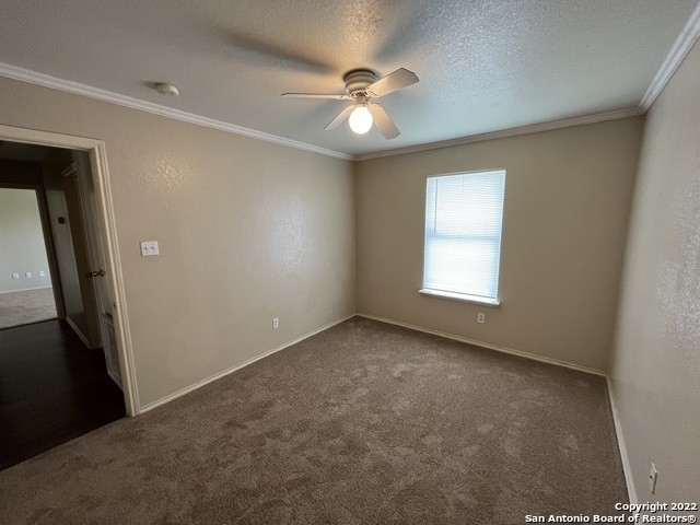 8107 Heights Valley - Photo 20