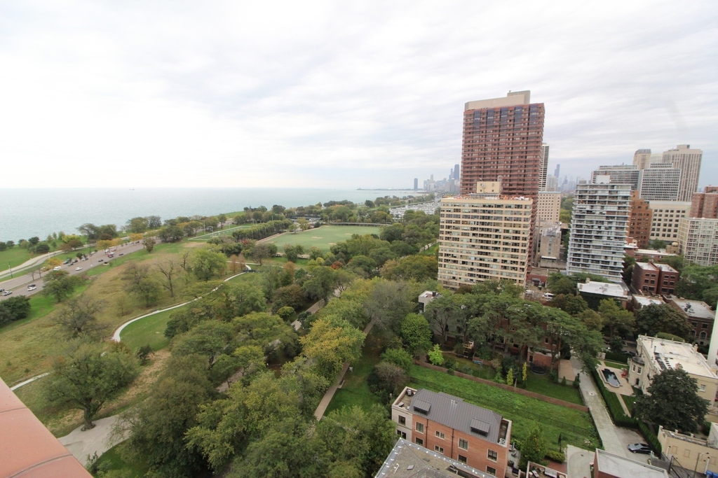 3100 N Lake Shore Drive - Photo 13