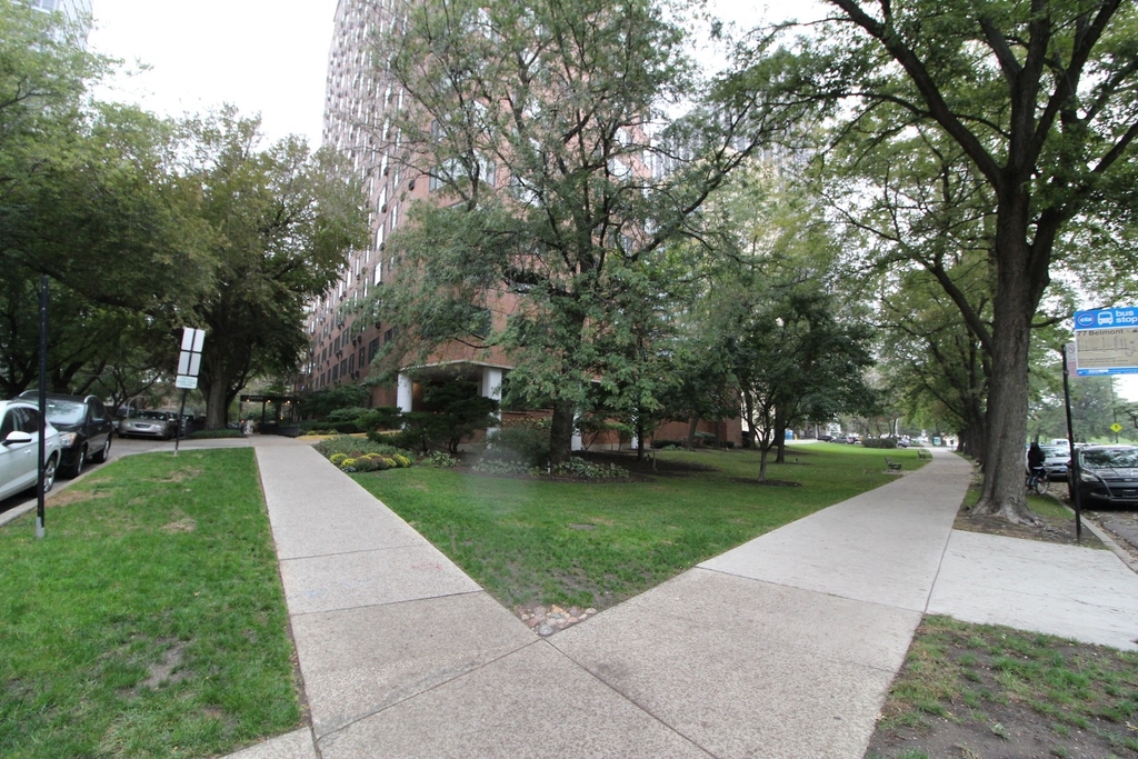 3100 N Lake Shore Drive - Photo 19