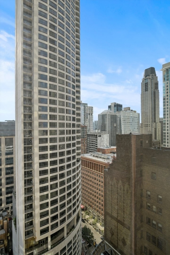 800 N Michigan Avenue - Photo 27