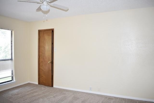 3319 Barberry Road - Photo 23