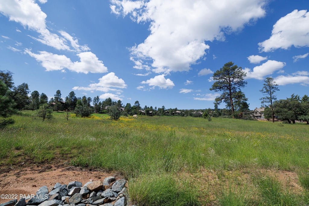 1716 Alpine Meadows Lane - Photo 36